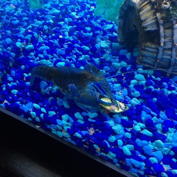 Meet your Posher, Brian - Picture 1 of 1